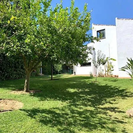 Con Vistas A Sevilla Hébergement de vacances Gelves